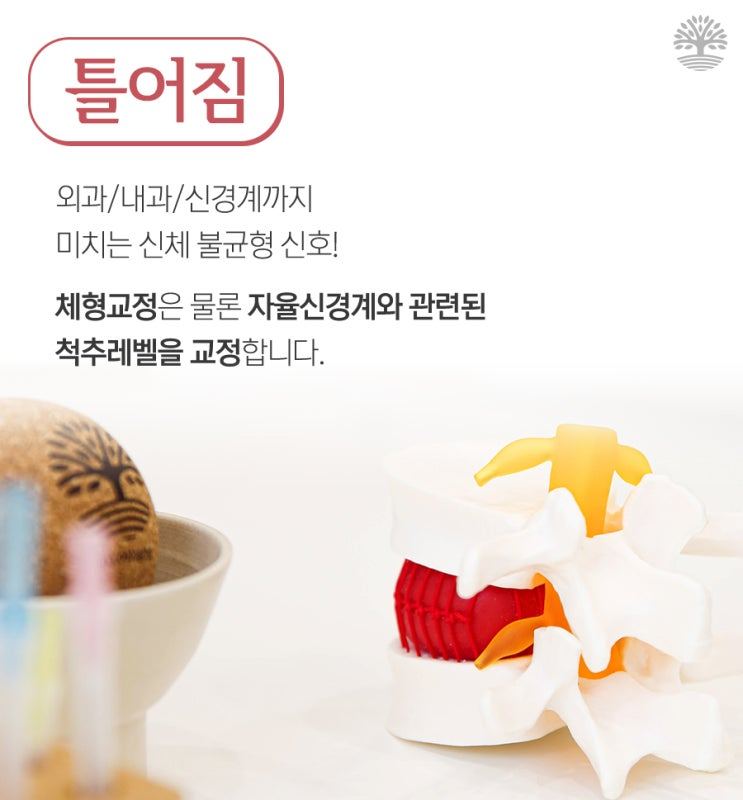 척추 모형과 한약재가 놓인 장면
