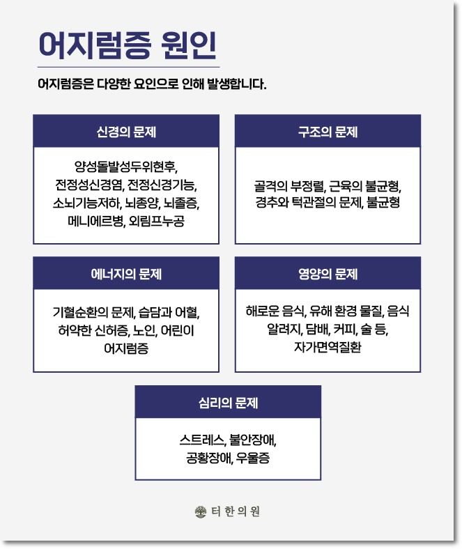 어지럼증 원인을 분류한 안내문
