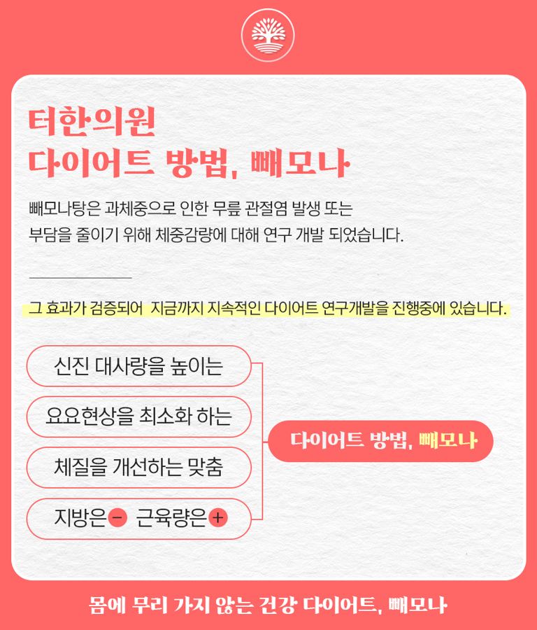 다이어트 한약 빼모나를 소개하는 카드뉴스