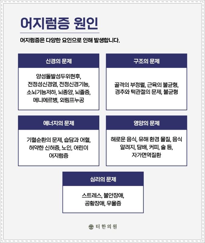 어지럼증 원인을 신경, 구조, 에너지, 영양, 심리 문제로 정리한 안내 이미지