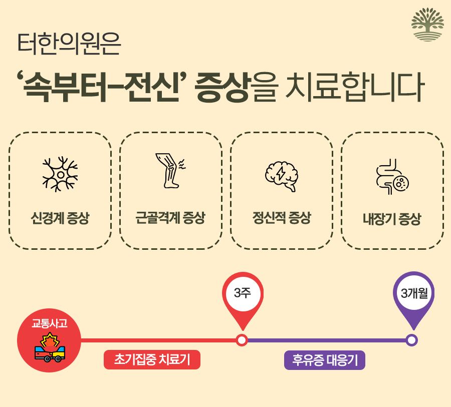 교통사고 뒤 신경계, 근골격계, 정신, 내장기 증상의 발생 시기를 나타낸 이미지